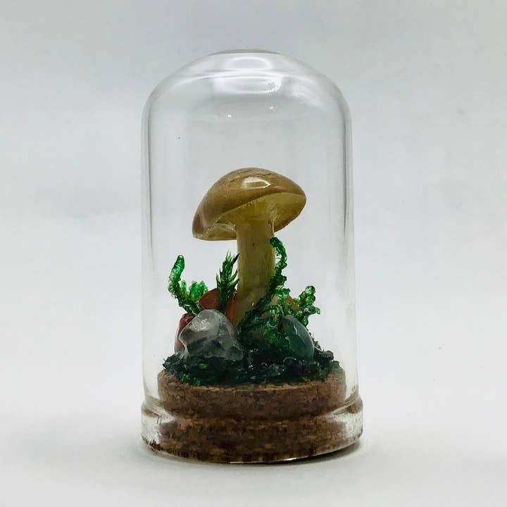 Fungus Farm LLC - Wholesale Decorative Tabletop Object - Real Mushroom Curiosity Jar Fungi Oddity Decor 1.75" # 6550