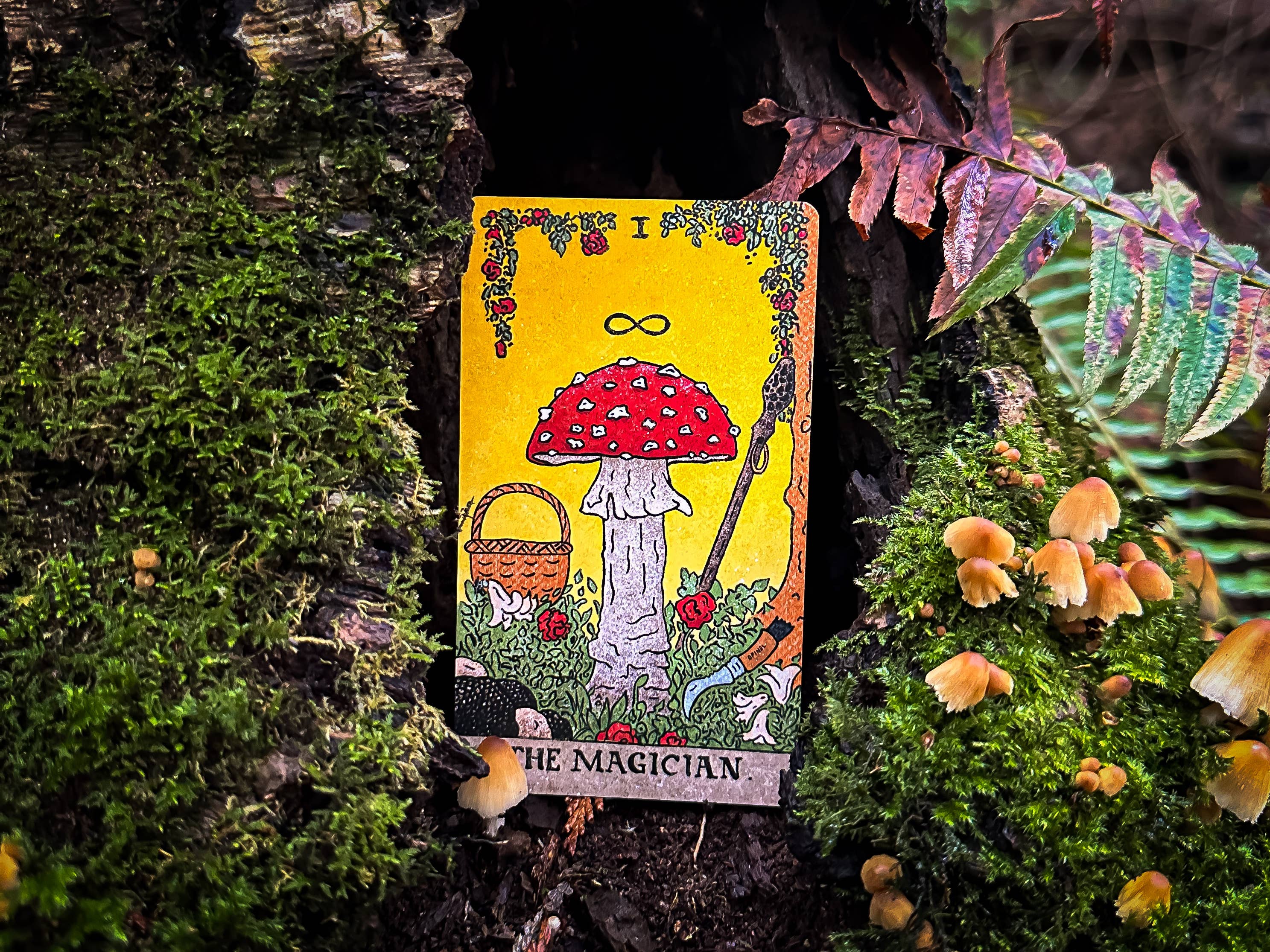 The Fungi Arcana - Vente Cartes de tarot - The Mushroom Hunter’s Arcanum : jeu de tarot de 78 cartes sur le thème des champignons1