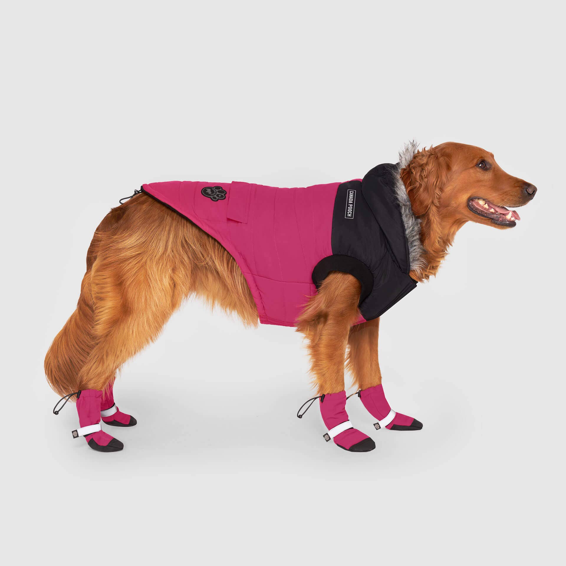 Canada Pooch - Vendita all'ingrosso Cappotto - Cani - Parka invernale True North per cani10