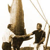 Gourmet Warehouse Brands - Wholesale Dried Spice Mix - Hemingway "The Marlin" Seafood Seasoning4