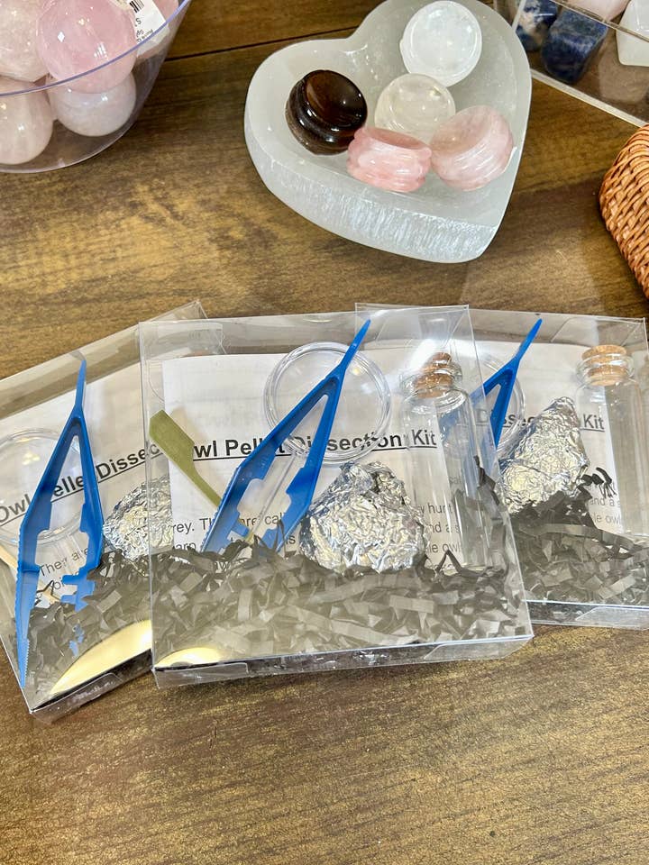 Owl Pellet Kit for wholesale by Mz. Jones’ Curio, Inc.