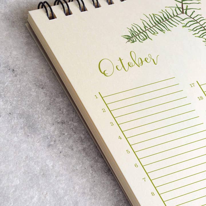 Favorite Story - Vente Calendrier - Calendrier des célébrations, Fougères3