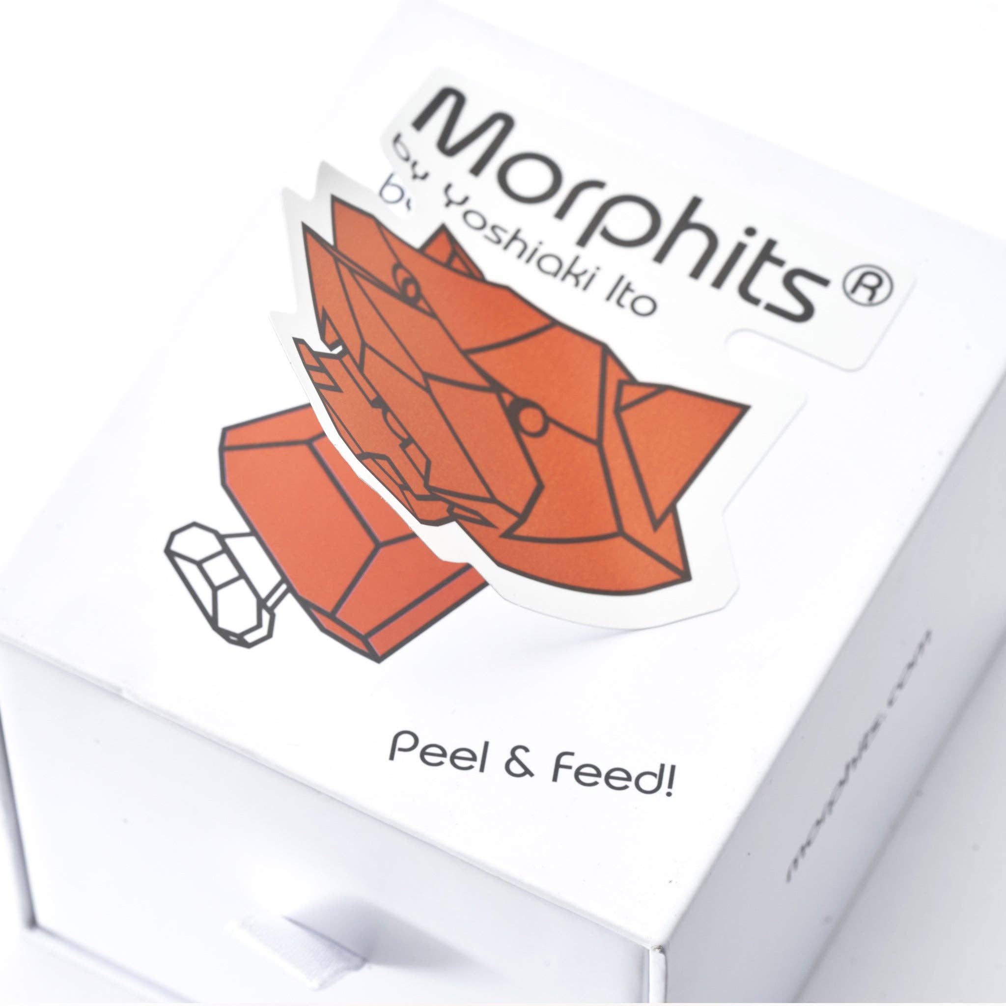 Yoshiaki Ito Design – Brinquedo de madeira - Crianças por atacado – Morphits® Tiger Wooden Toy: Roaring Adventures Await in our our our13