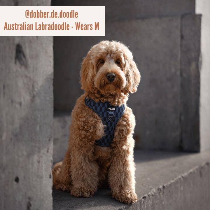 Pip and Palms - Wholesale Pet Harness - Dog - Dog Harness Shades of Blue5