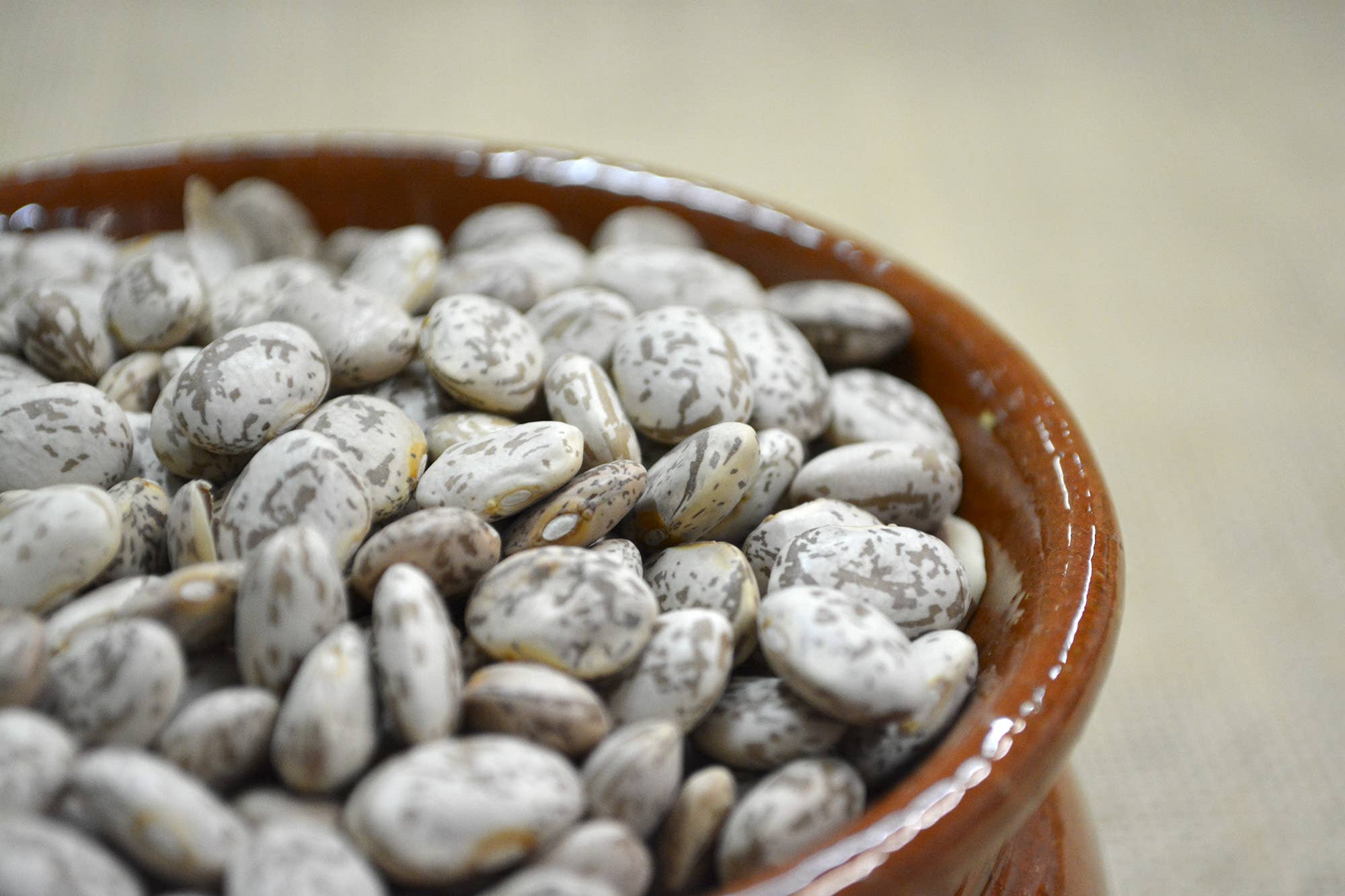 A.G.R. s.r.l. - Wholesale Beans - Borlotti beans 400g.1