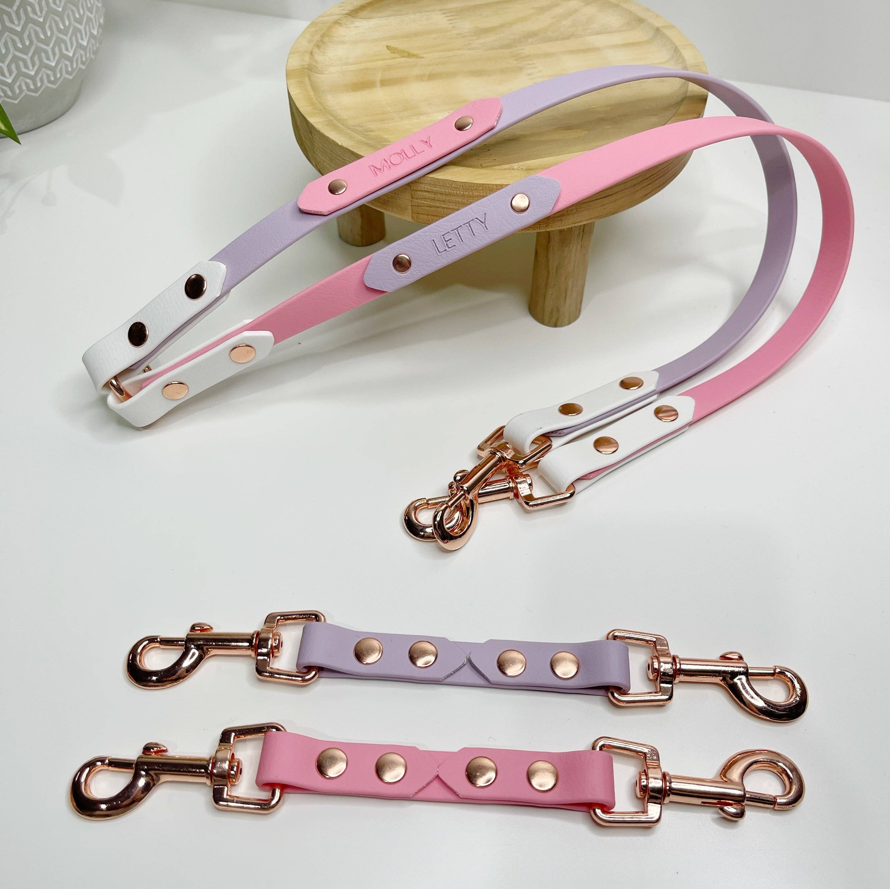 My Pawchella - Venta al por mayor Correa - Perros - Biothano/divisor de correas de colores17