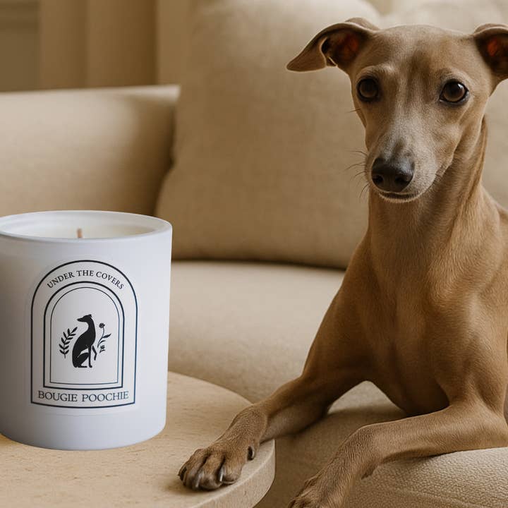 Under The Covers Candle - Non-Toxic Pet Home Candle for wholesale by Bougie Poochie LLC