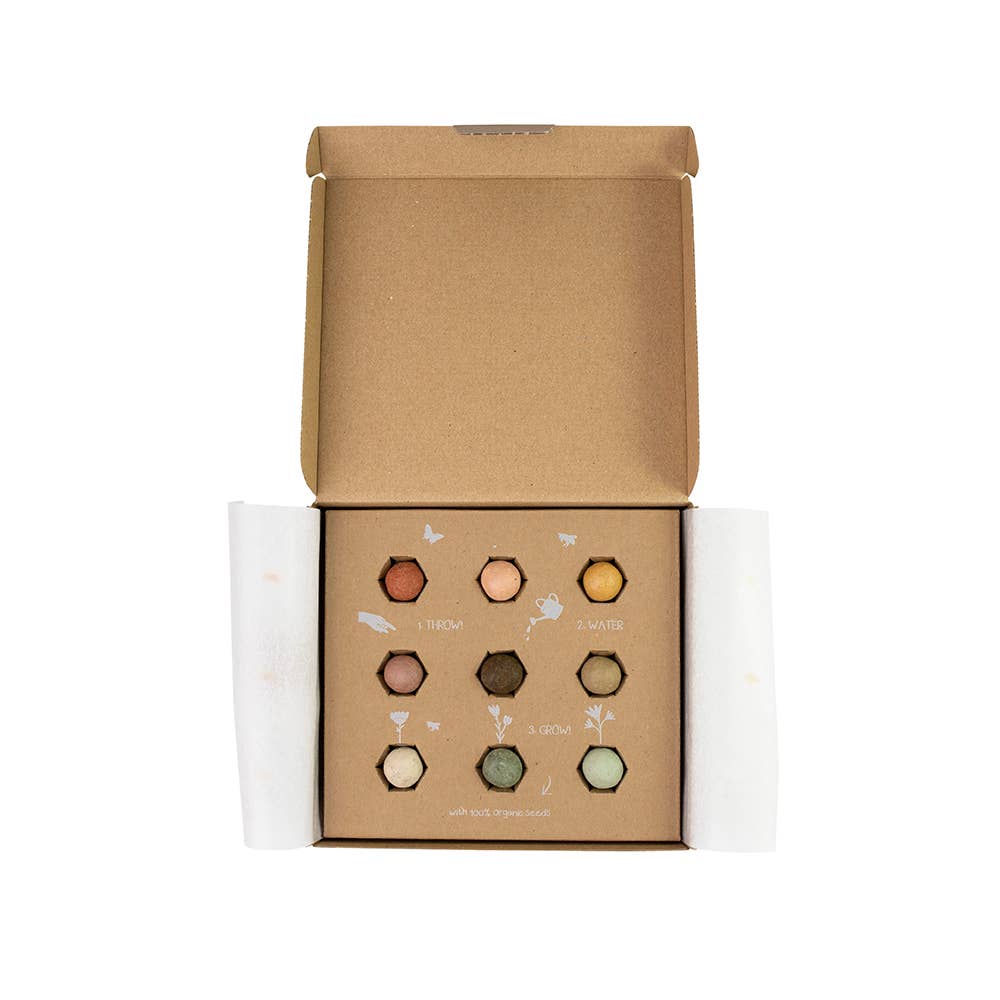 Blossombs – Engroshandel Plantefrø – Medium gaveæske med 9 økologiske frøbomber2