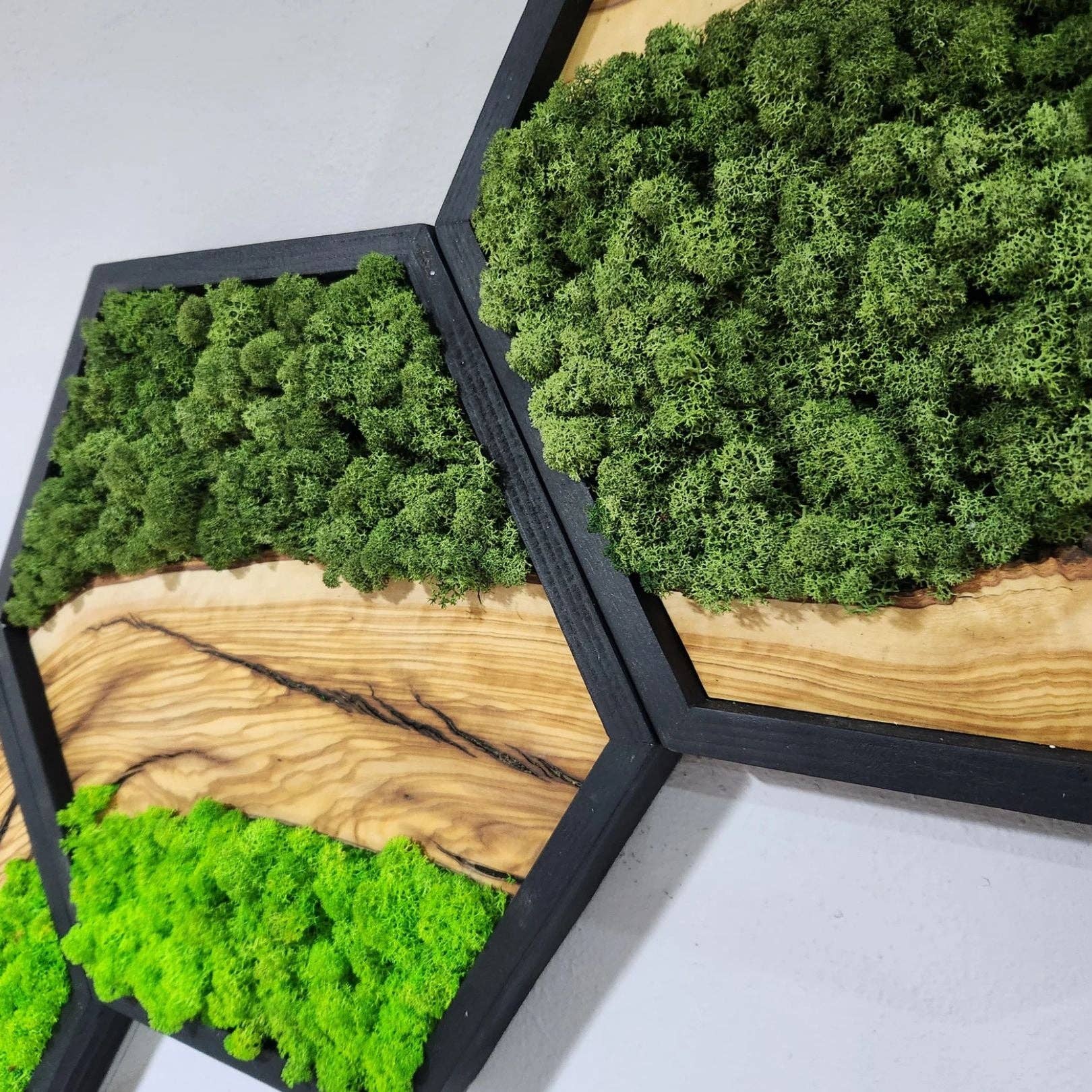 Artdesigna KG - Wholesale Wall Accent - Honeycomb Moss & Olive Tree | Premium Handmade Wall Sculptures6