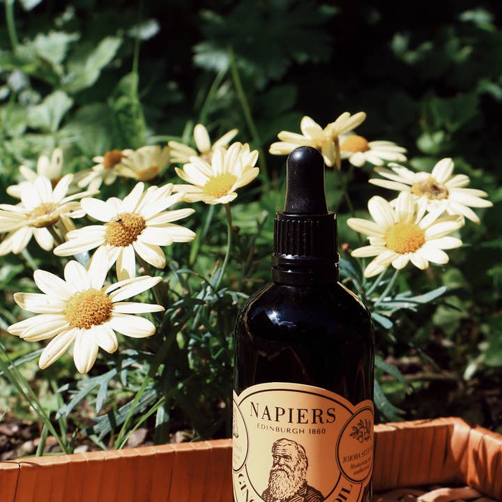 Napiers – wholesale Bath/body oil – Napiers Ginger Detox Oil6