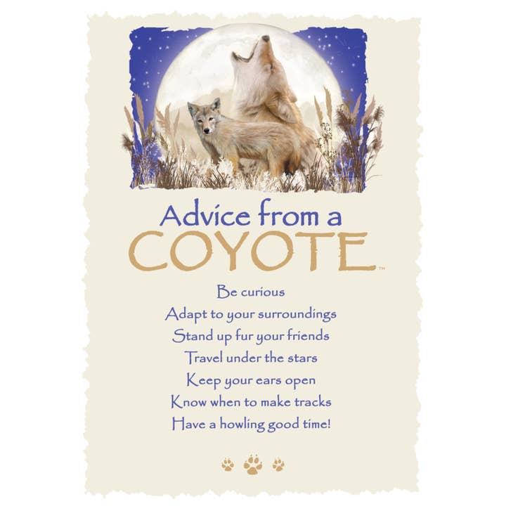 Advice from a Coyote Greeting Card - Blank for wholesale by Advice for Life by Your True Nature