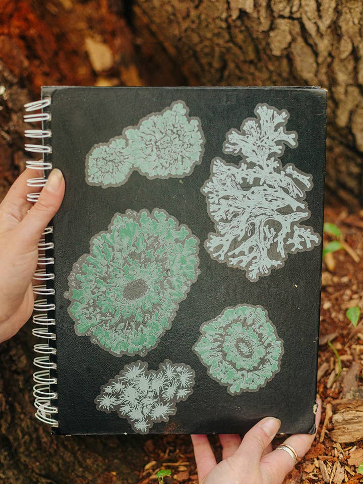 Lichen Sticker Set for engroshandel hos Solstice Handmade