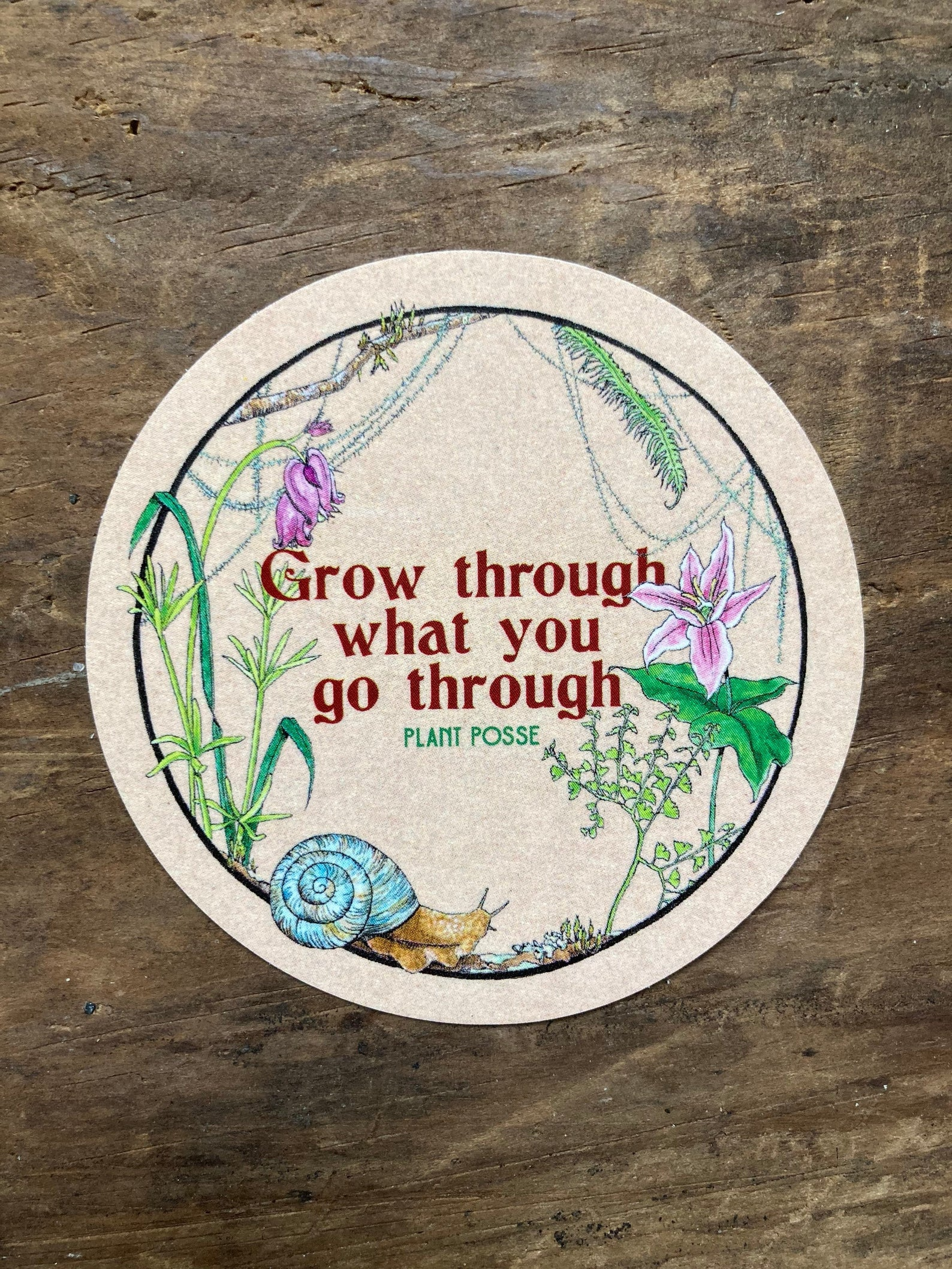 Plant Posse - Wholesale Sticker - Snail Sticker5