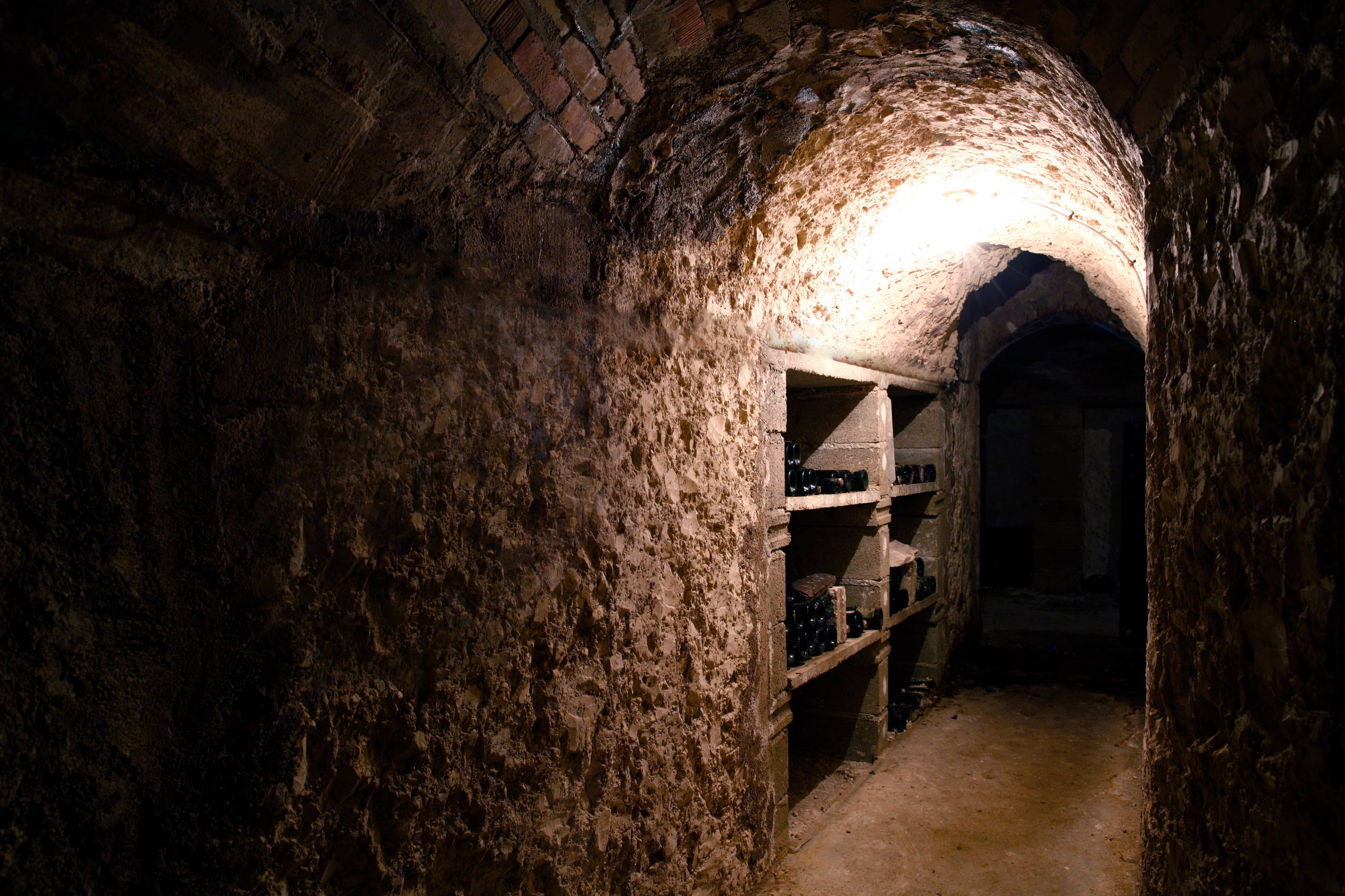 Champagne Th. Petit - Wholesale Champagne/Sparkling Wine - Champagne Grand Cru Vintage 2016 Brut3