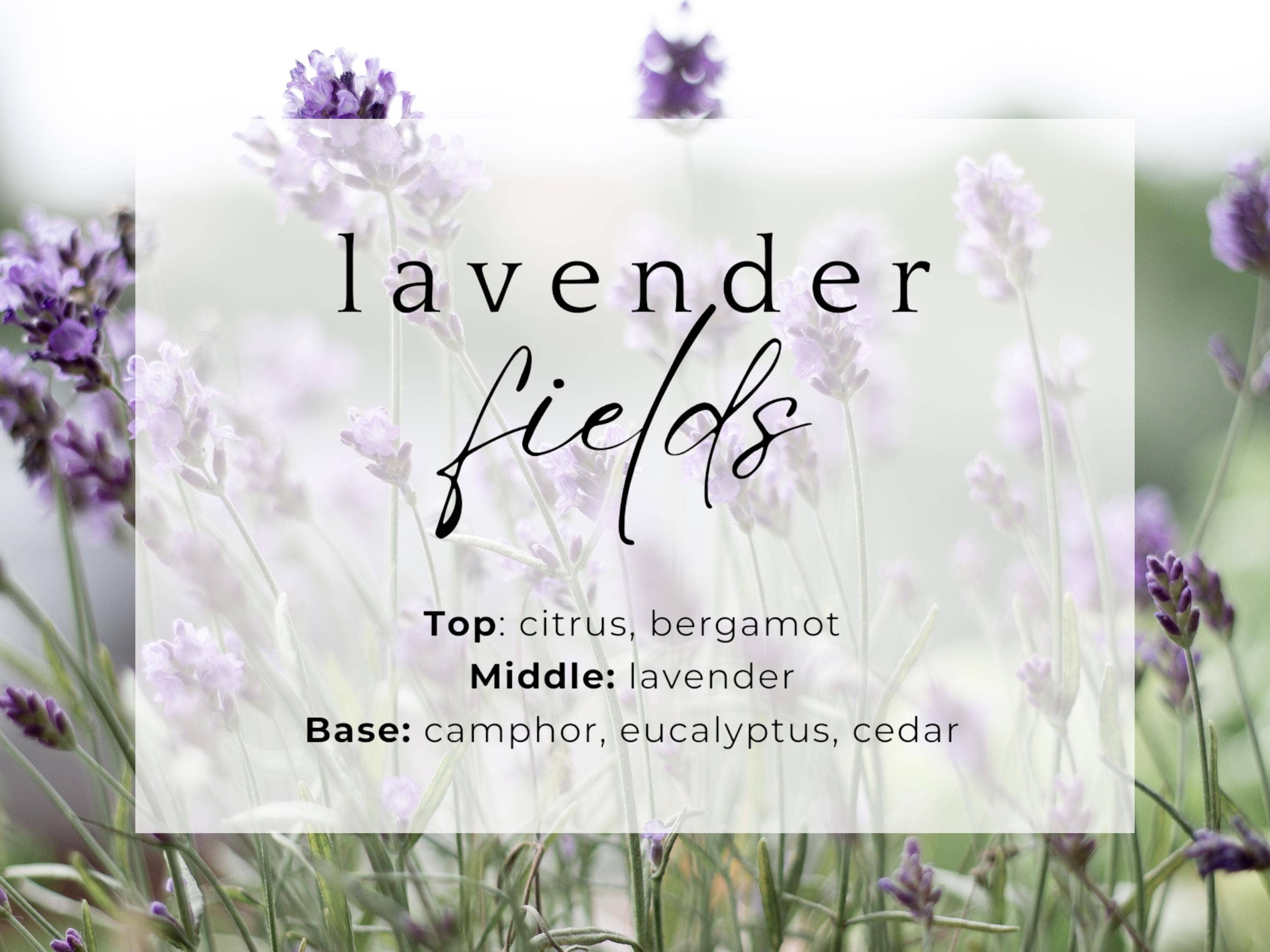 The Grey Lotus - Vendita all'ingrosso Candela in vasetto - Candela Lavender Fields in barattolo ambrato 100% cera di soia - 8 oz6