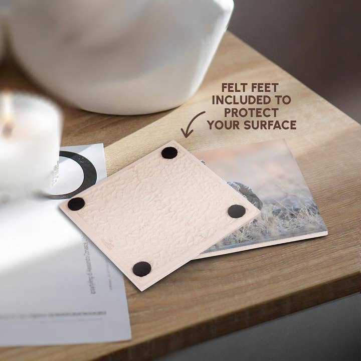 3dRose - Wholesale Coasters - 3dRose, Sharp-tailed grouse claiming lek territory, Coaster3