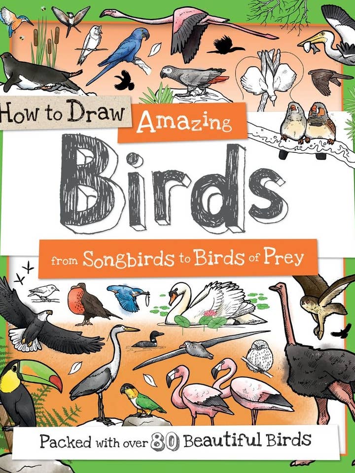 How to Draw Amazing Birds for wholesale by Sourcebooks
