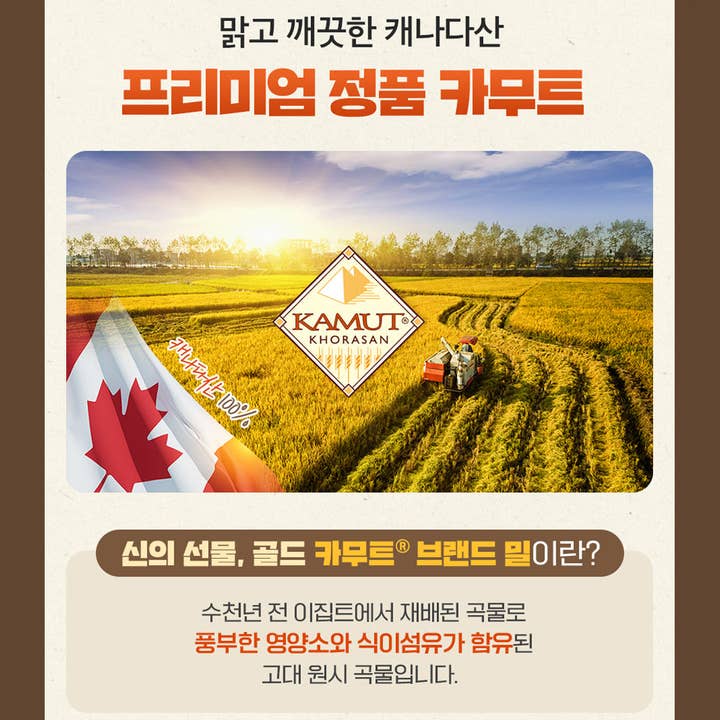 KPurity - Wholesale Protein/Superfood Powder - Gold Kamut Brand Wheat Grain Enzyme - Ideal for Flour, Pasta, Salads, Soups - High in Fiber & Protein