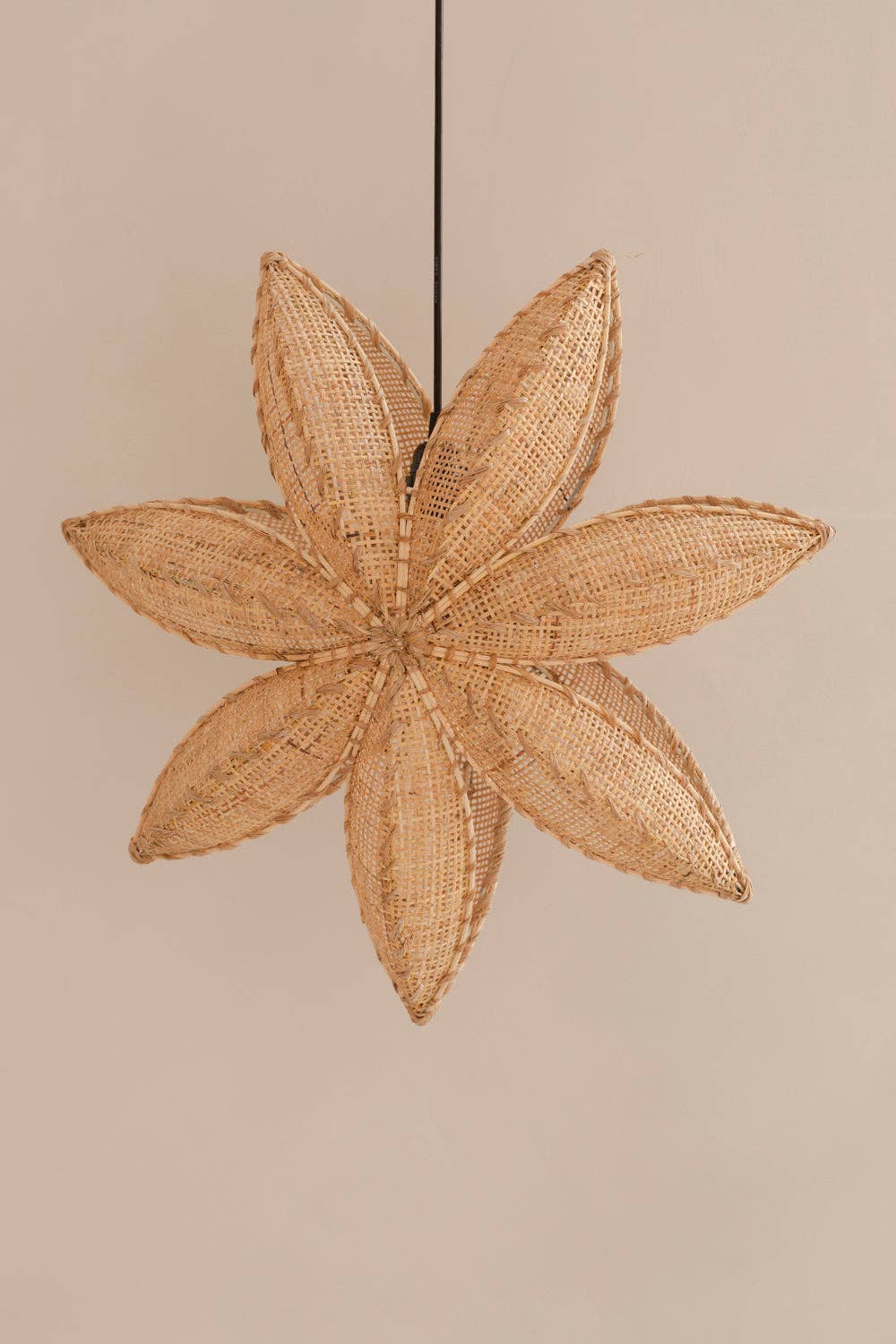 The Straw Studio - Wholesale Chandelier/Hanging Light - Winter Flower Lamp5