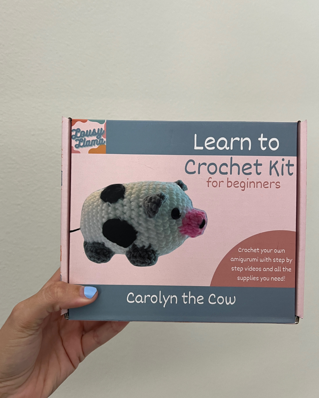 Lousy Llama Creations – wholesale Knitting/Crochet Supplies – Variety Set of Learn How to Crochet Kits8