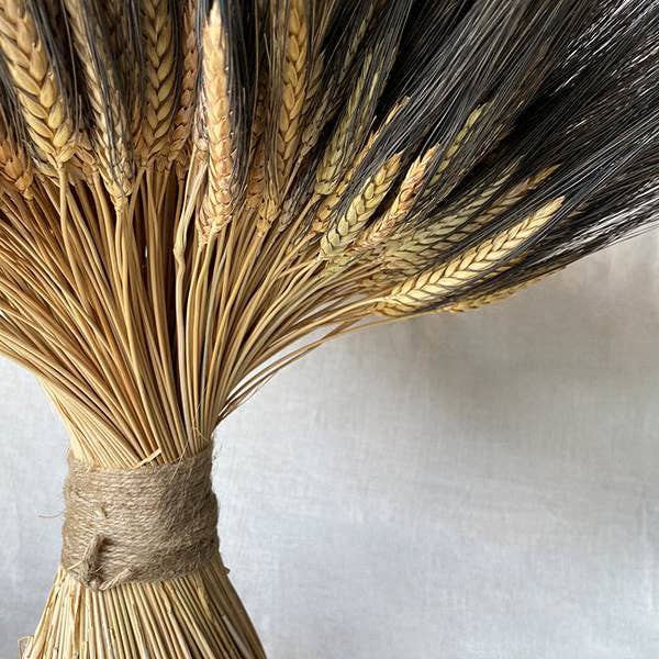 Bloomist - Wholesale Dried/Pressed Flowers - Dried Blackbeard Grande Wheat Stack1