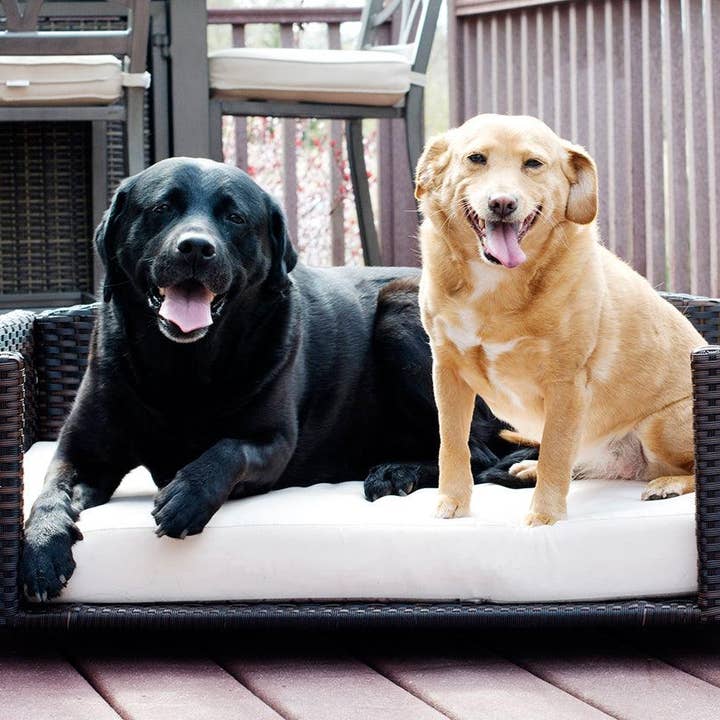 Rattan Rectangular Pet Sofa for wholesale by Iconic Pet