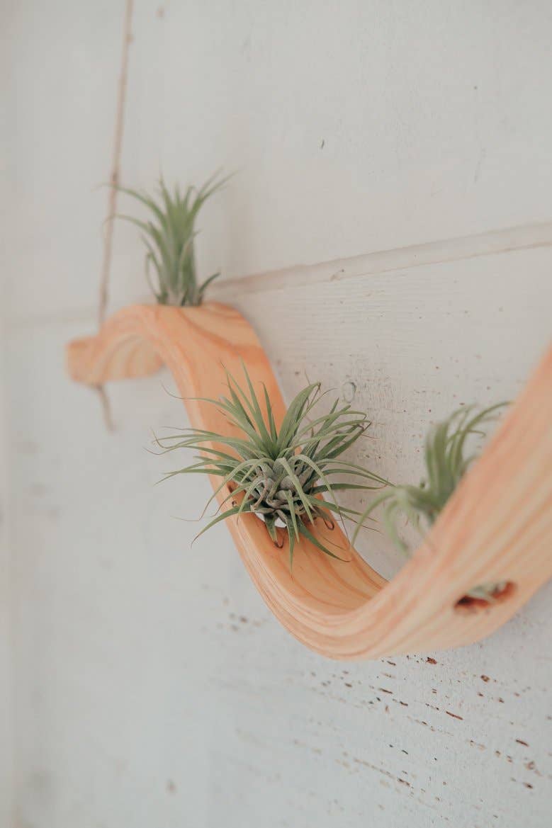 Horsemen Co. – wholesale Hängande kruka – Liten Våg Luftfabrik Hängare9