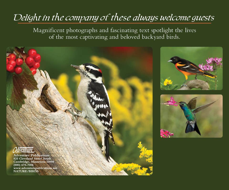 AdventureKEEN - Wholesale Nature & Outdoors - Backyard Birds4