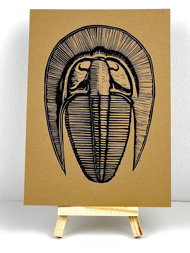 Trilobiet "Treena" voor wholesale door Pixel Palmer