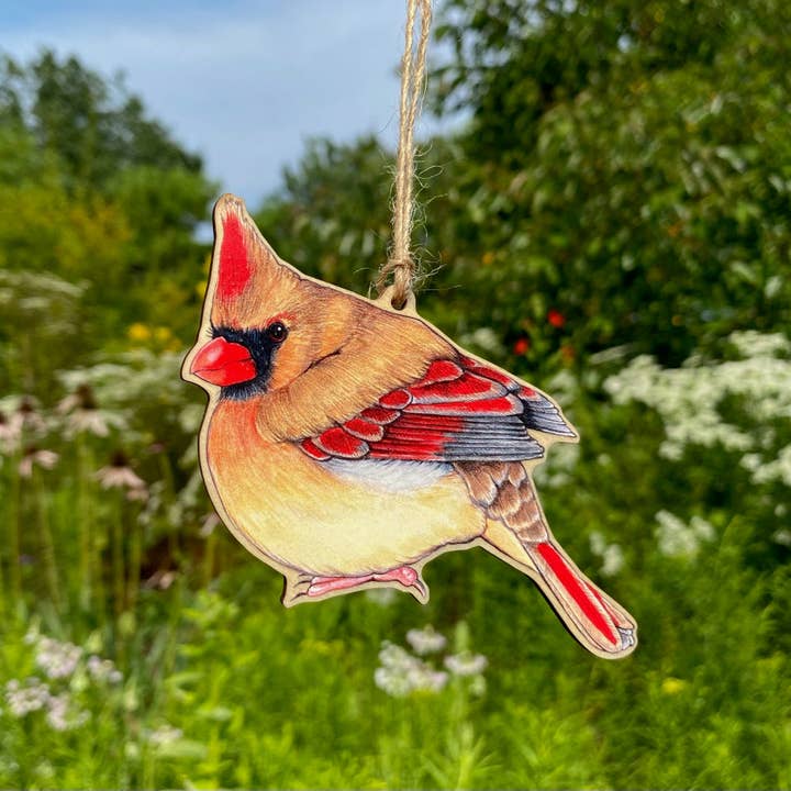 Allison Stoiser Art - Wholesale Ornament - Female Northern Cardinal Bird Wood Print Ornament