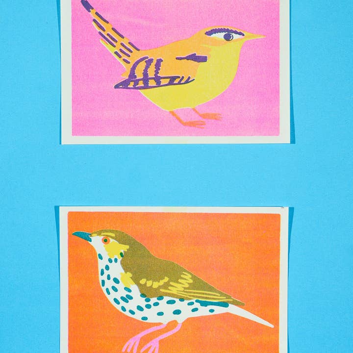 naomi wilkinson illustration - Vendita all'ingrosso Stampa artistica - Stampa di Tordo Bottaccio