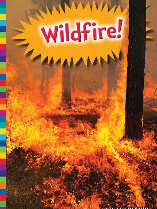 Fogo selvagem! por atacado de Amicus Publishing