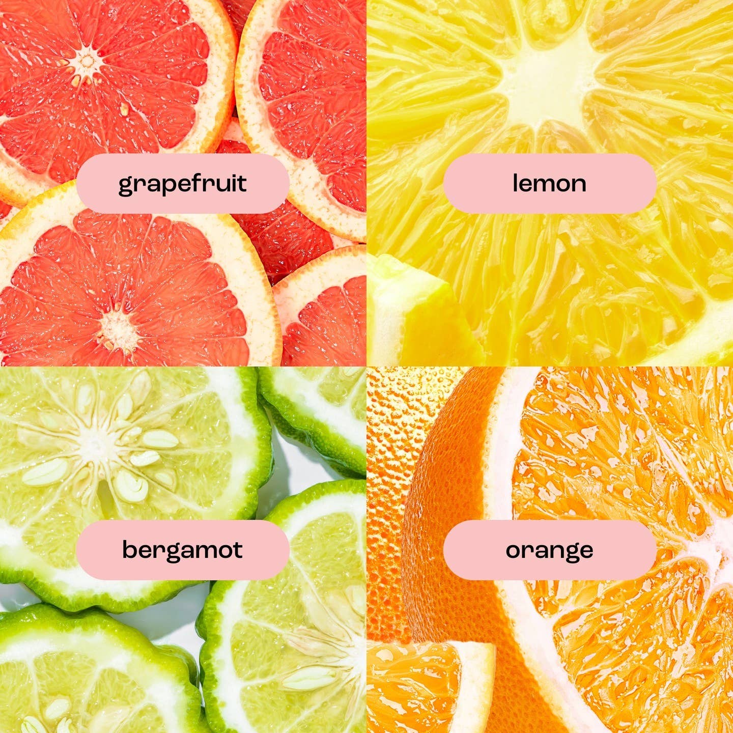 Natural Inspirations - Wholesale Hand Cream/Lotion - Grapefruit Bergamot  Boxed Hand Crème/Cream4