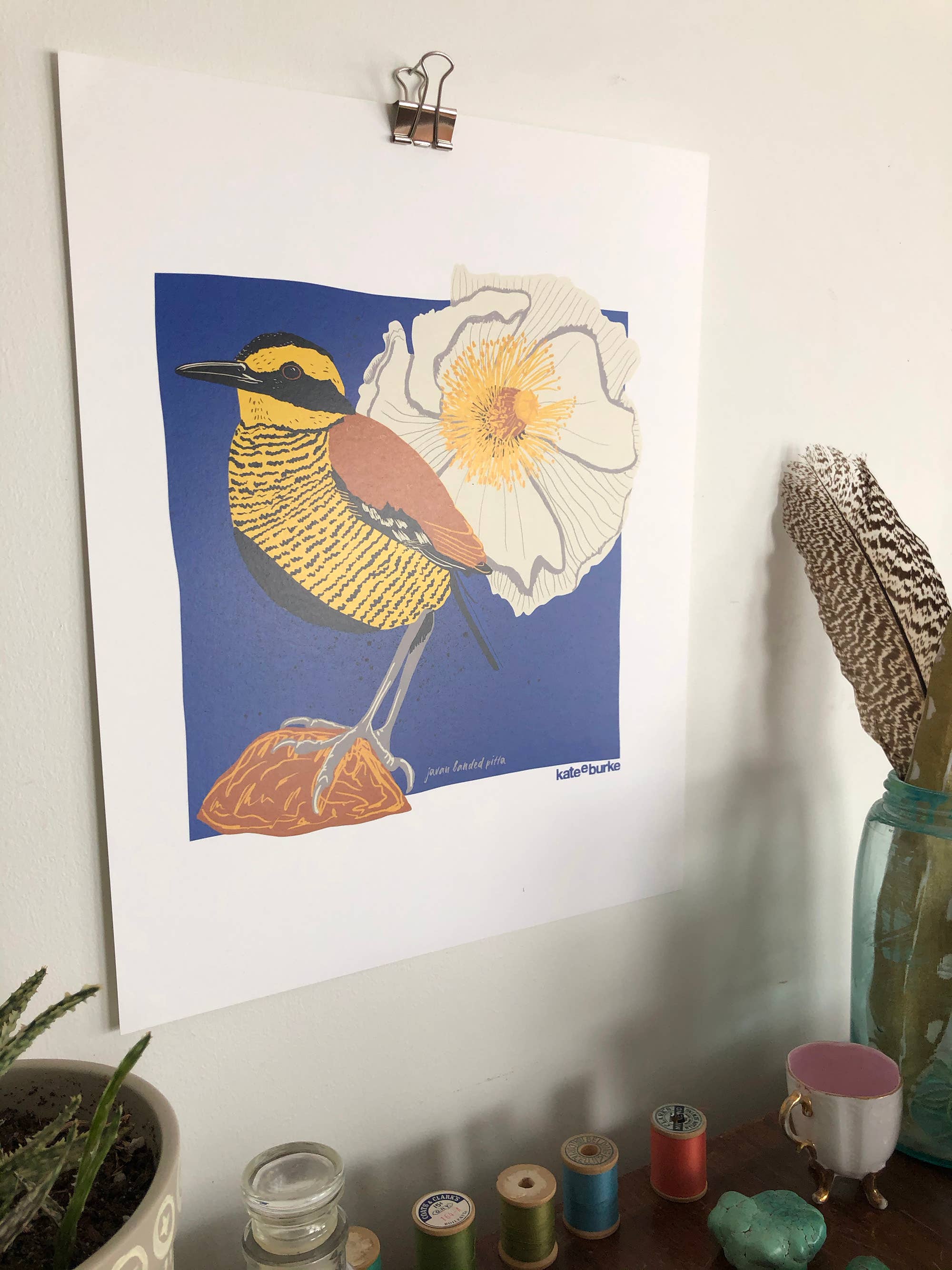 Kate E. Burke - Wholesale Art Print - Bird Series: Javan Banded Pitta 11x14 Digital Print1