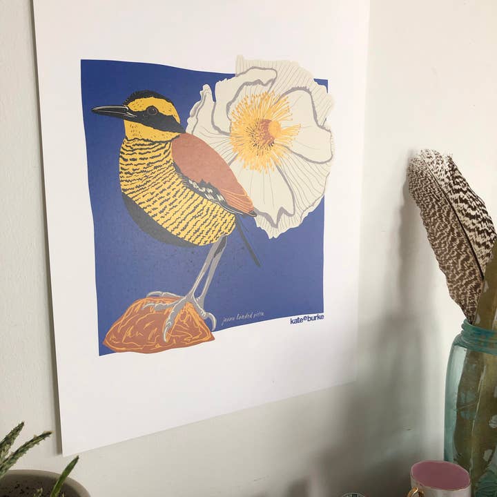 Kate E. Burke - Wholesale Art Print - Bird Series: Javan Banded Pitta 11x14 Digital Print1