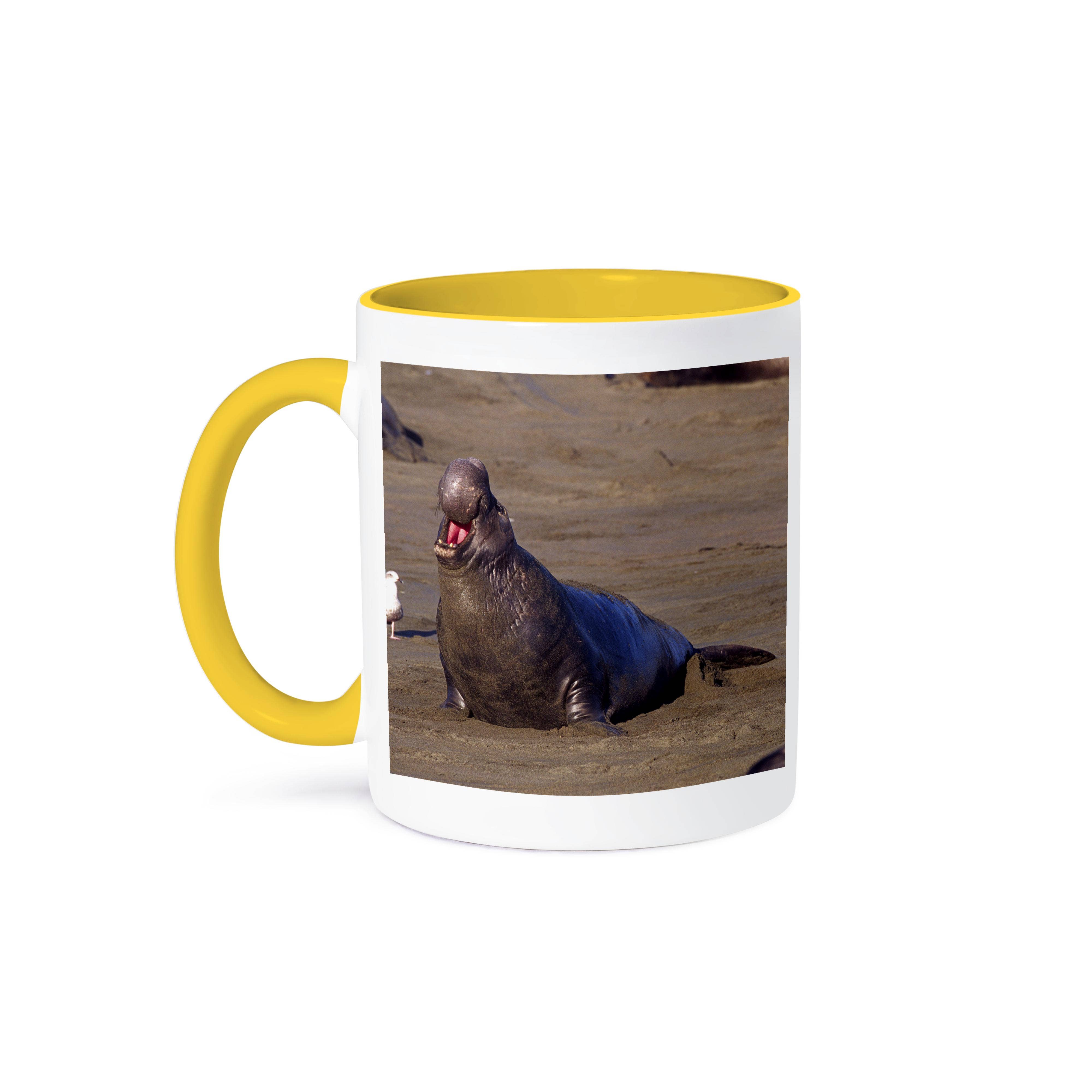 3dRose - Wholesale Coffee Mug - 3dRose, Elephant Seal Calling, Piedras Blancas, CA - NA02 DNO0325 - David Northcott, Mug0