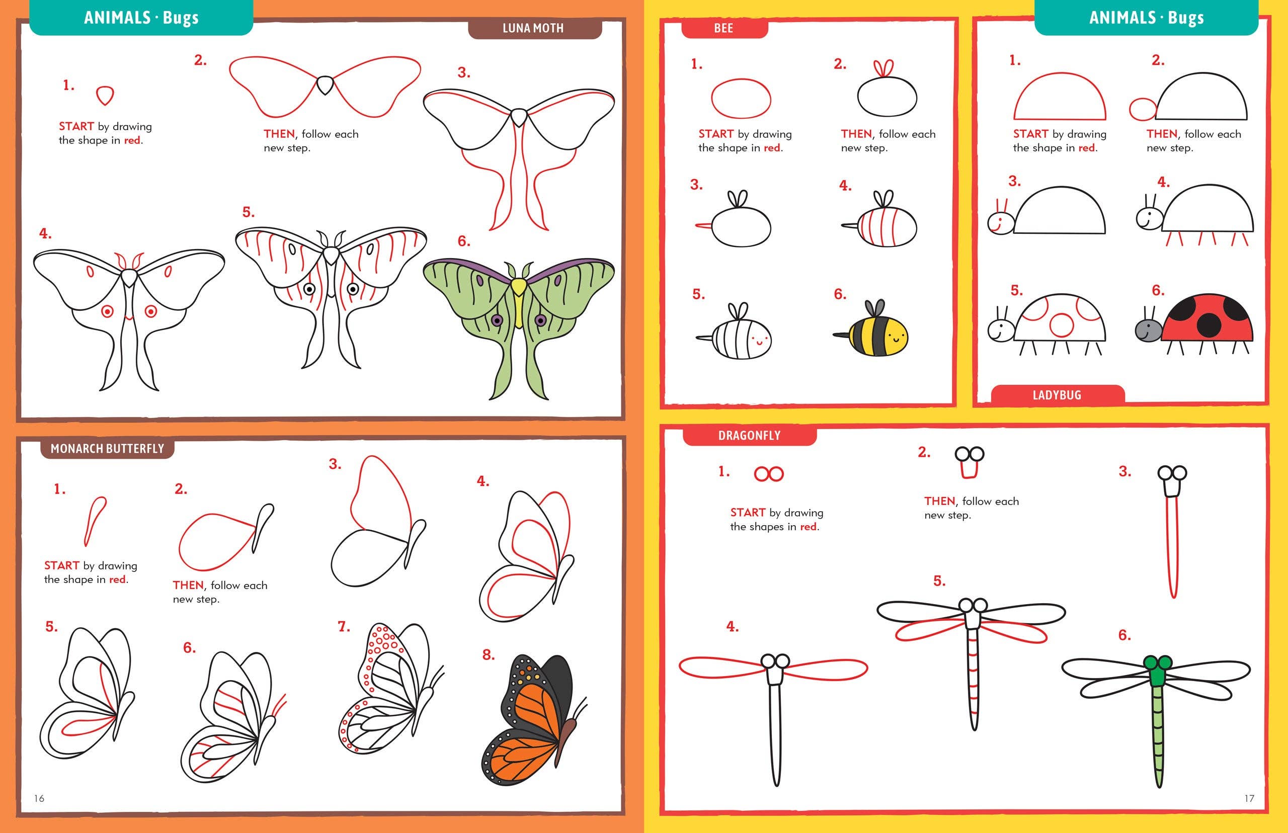 Peter Pauper Press - Wholesale Coloring & Activity Book - Adult - Learn to Draw . . . Everything!1