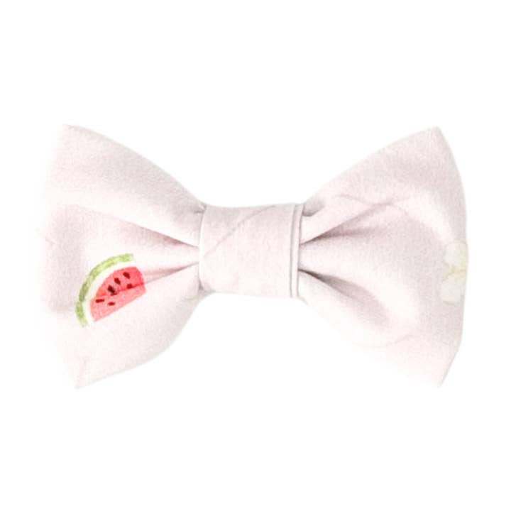 Pequeño lazo en el campo de melones para venta al por mayor de Nella June