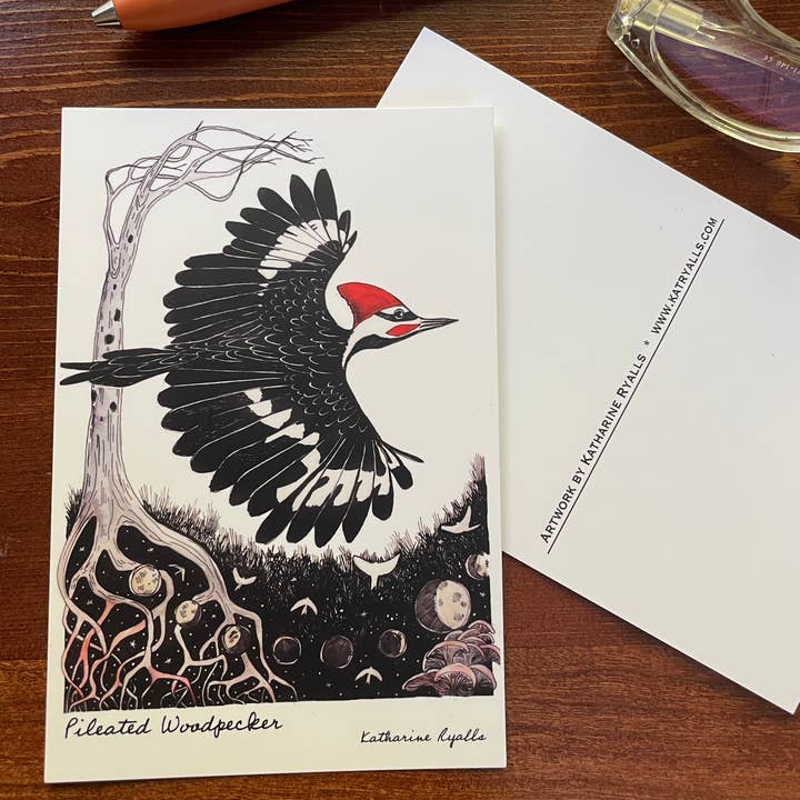 Pileated Woodpecker postcard, 4x6"   for wholesale by Kat Ryalls