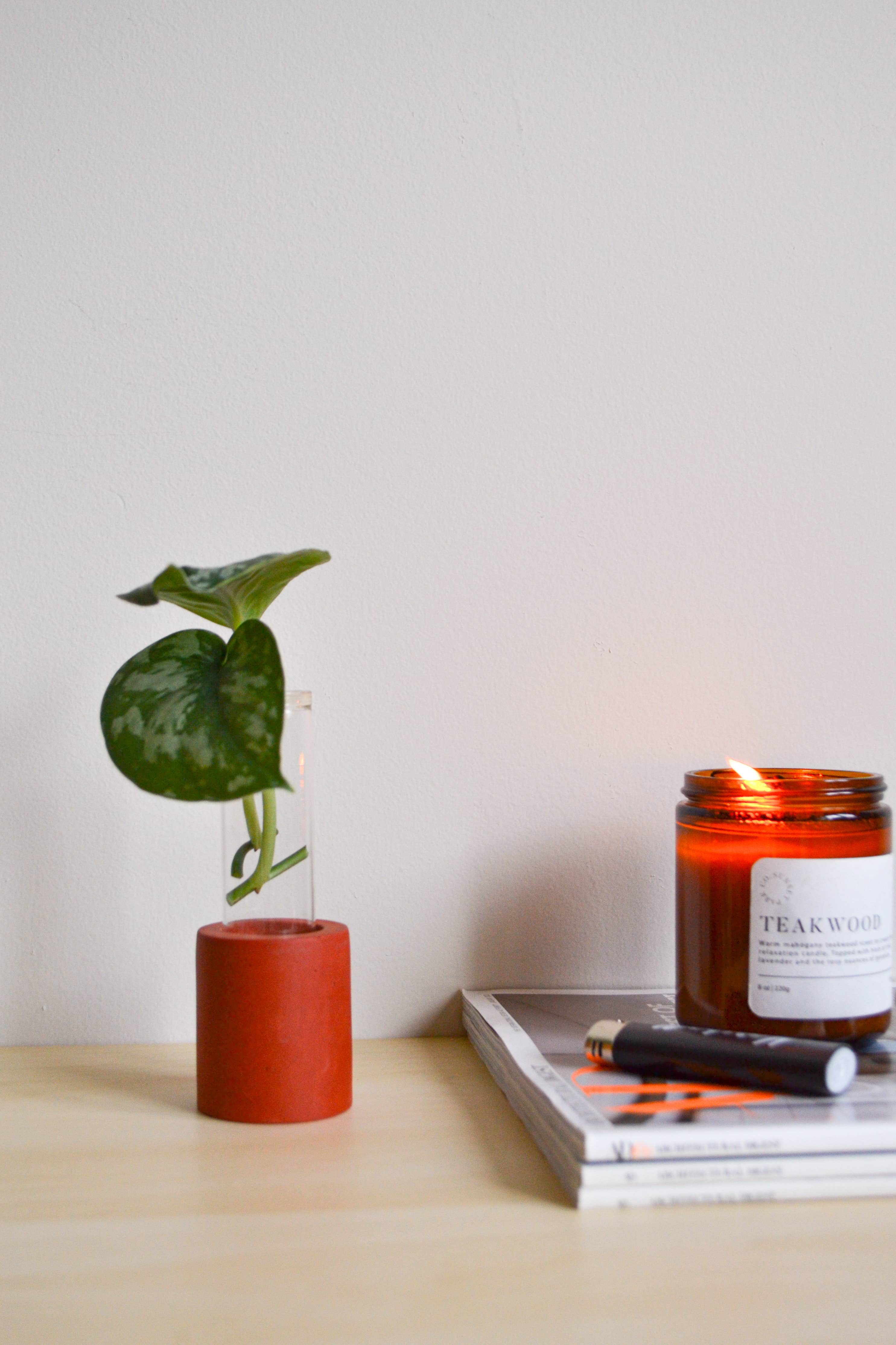 LindaMakess - Wholesale Vase - Single Concrete Plant Propagation Test tube Stand8