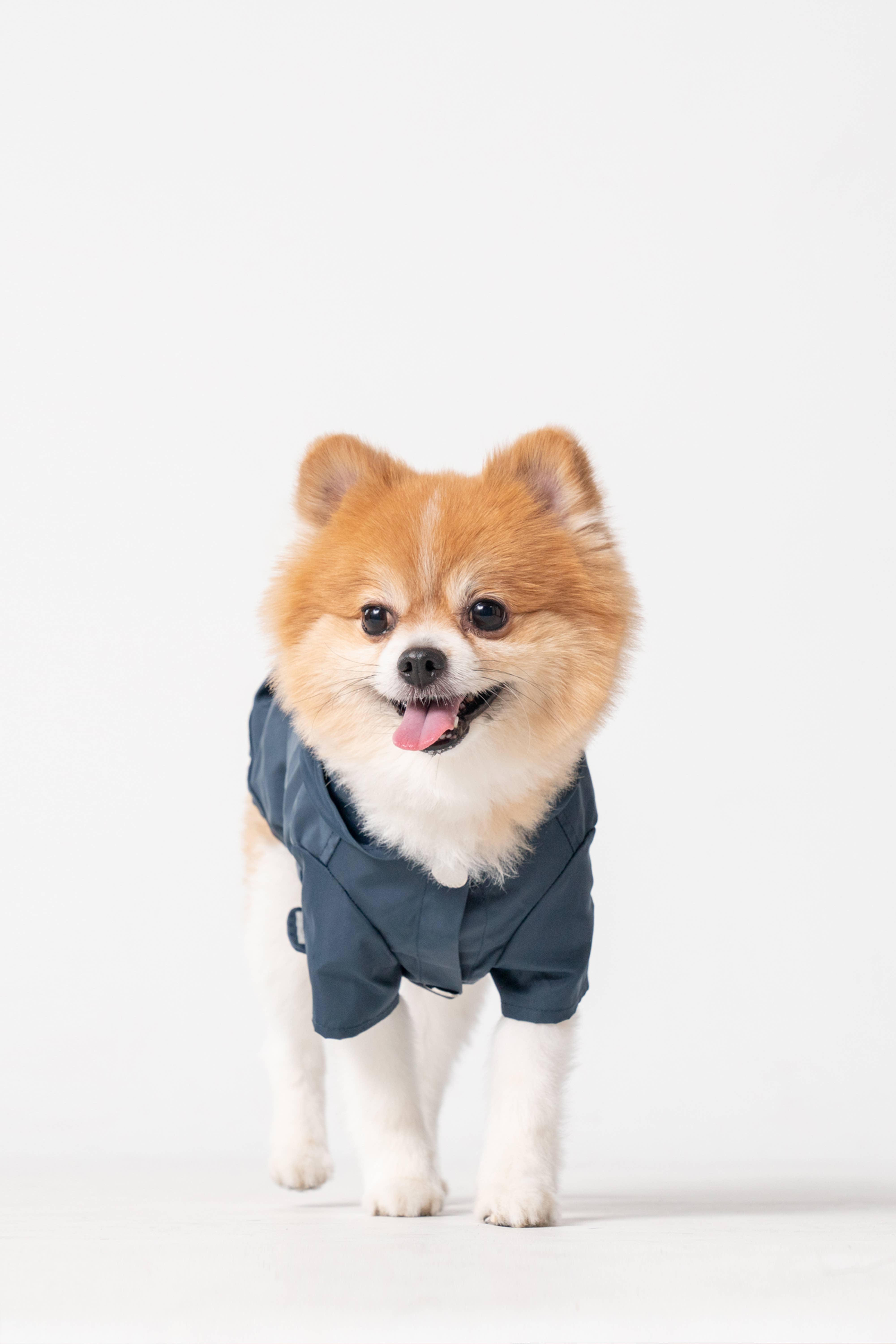 PEHOM – wholesale Pet raincoat – Dog – Raincoat - Blue3