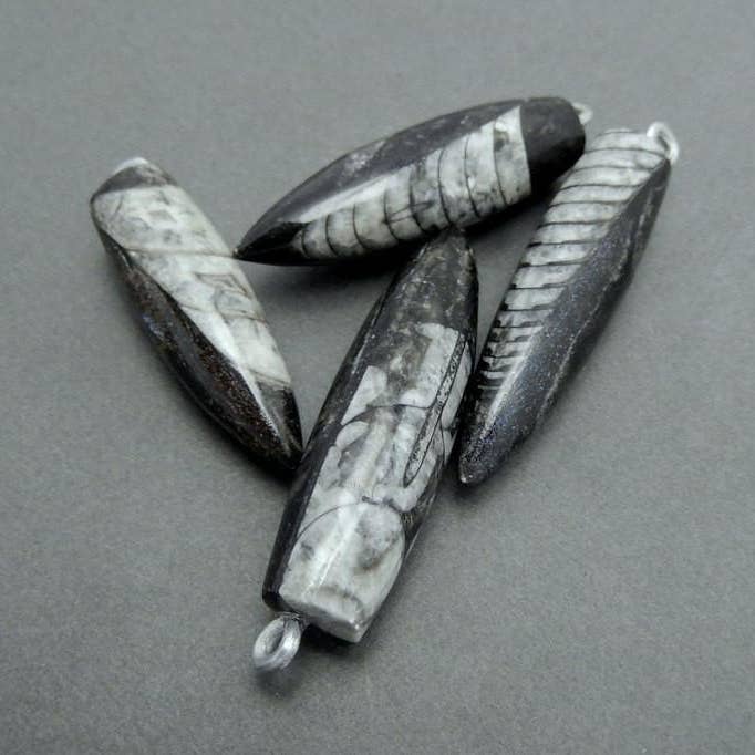 Rock Paradise - Wholesale Individual Charm/Pendant - Orthoceras Point Fossil Spike Pendant with Silver Plated Bai