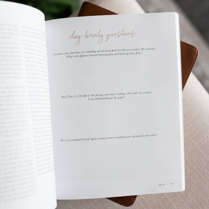 The Daily Grace Co - Wholesale Book - Adult - 40 Days with Jesus | A Study on the Life of Christ