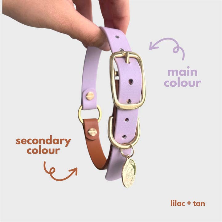 PRÊT-À-PUPPY - Wholesale Pet Collar - Dog - Original Collar - Design your Own