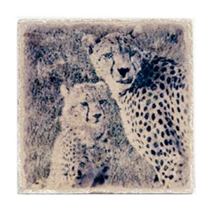 Coaster - Two Cheetahs for wholesale by Denise Riesen Photography