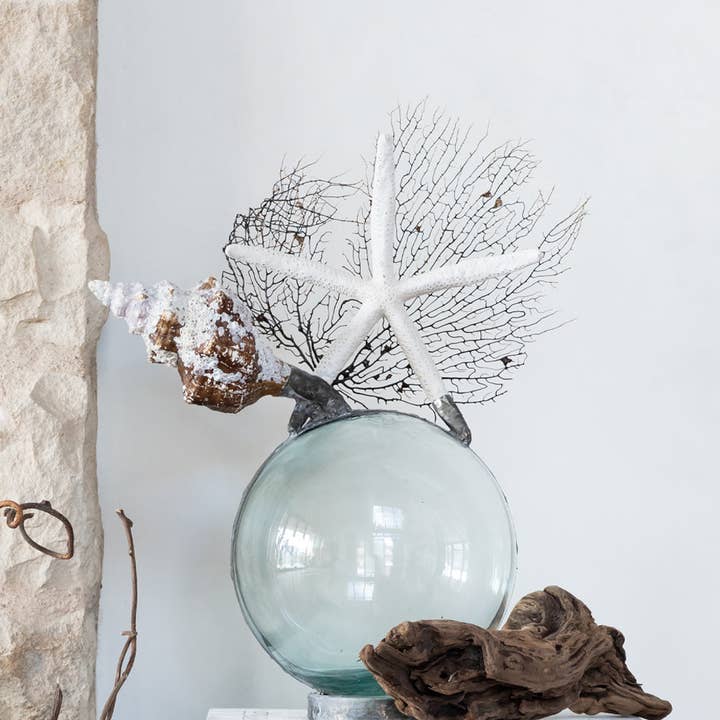 Shell Star Seafan Float (groß) für den Großhandel von Jamie Dietrich Designs