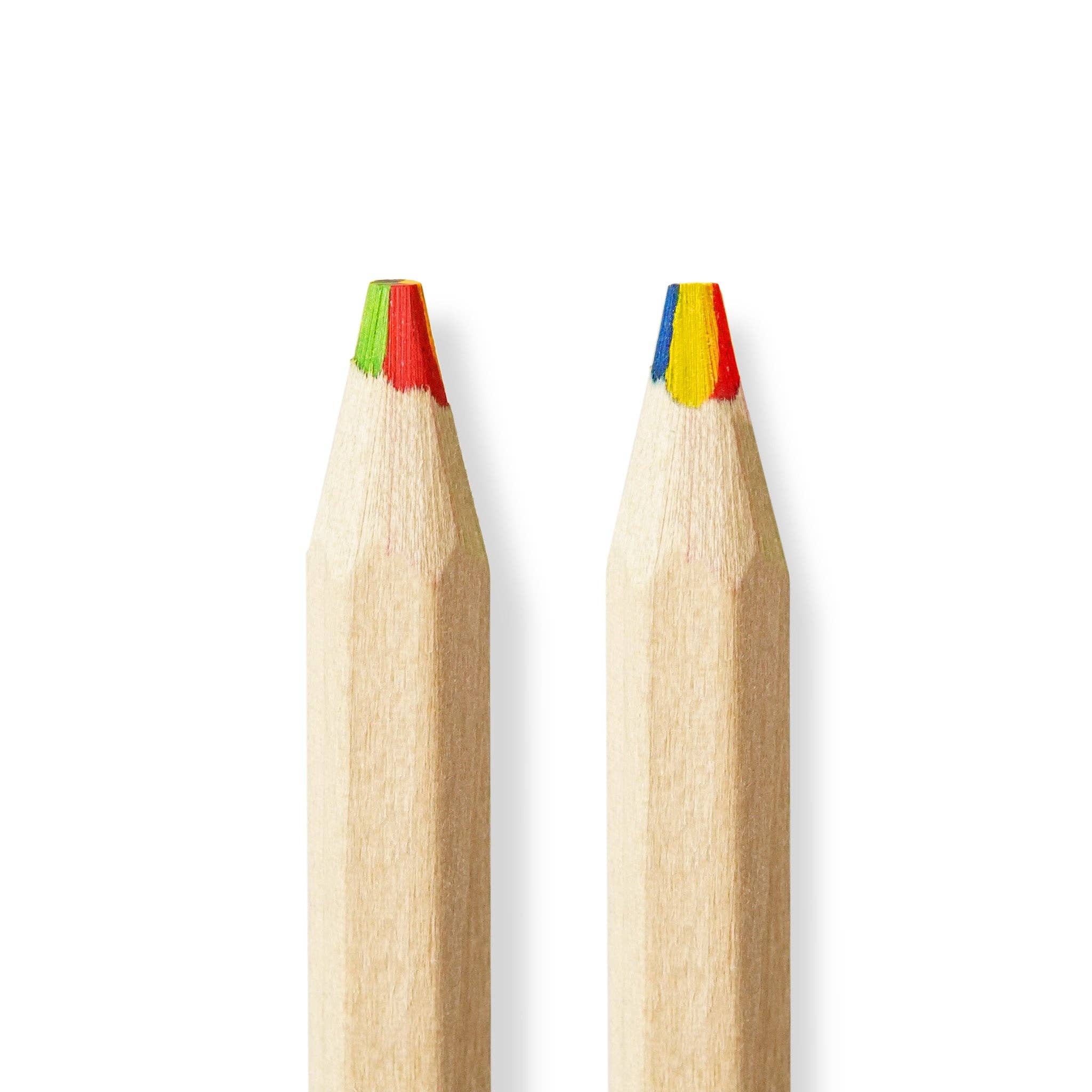 Odd Goose Stationery – wholesale Coloured pencil – The Jumbo Multicolour Colouring Pencil - Eco Friendly1