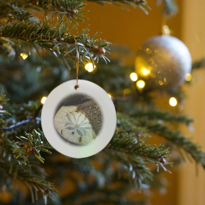 3dRose - Wholesale Ornament - 3dRose, California, Morro Bay. Sand dollar on Morro Strand State Beach., Ornament6