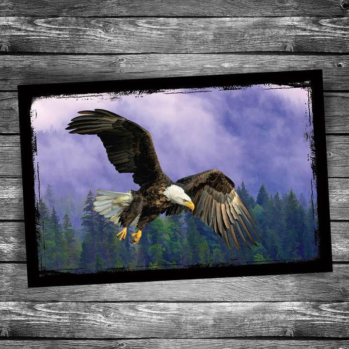 Bald Eagle Postcard for wholesale by Christopher Arndt Postcard Co.