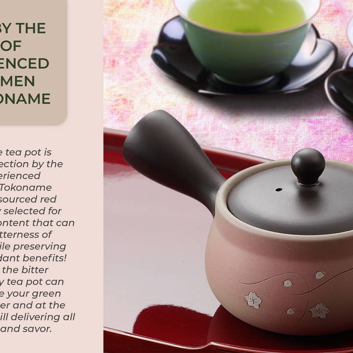 Japanese Green Tea Co. - Vendita all'ingrosso Teiere - Tokoname Yaki Kyusu teiera da 270 cc per tè Fukamushi21